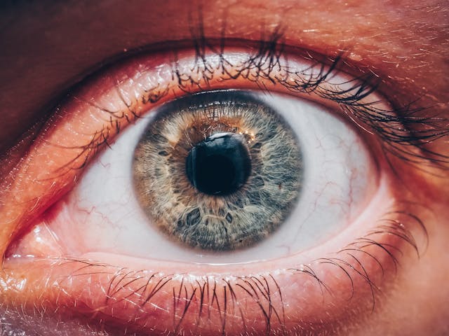 Fenomena Scan Retina Berbayar Ramai Dibahas, Publik Soroti Privasi Data Digital dan Keamanan Informasi Biometrik