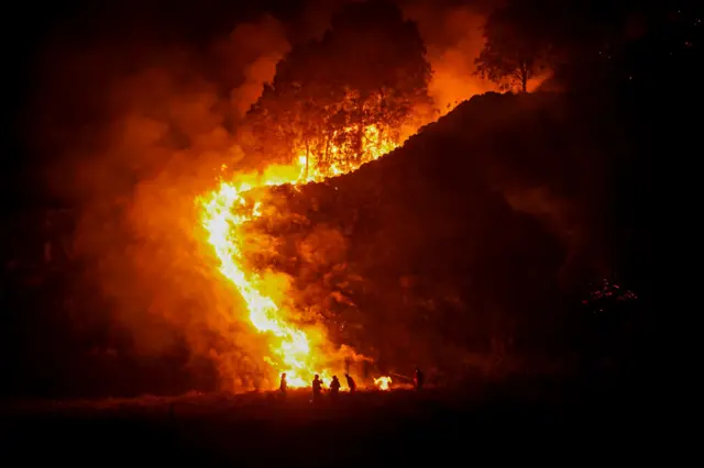 Kebakaran Hutan dan Lahan Meluas di Sejumlah Wilayah Indonesia, 138 Tersangka dan 72.008 Hektare Lahan Hangus