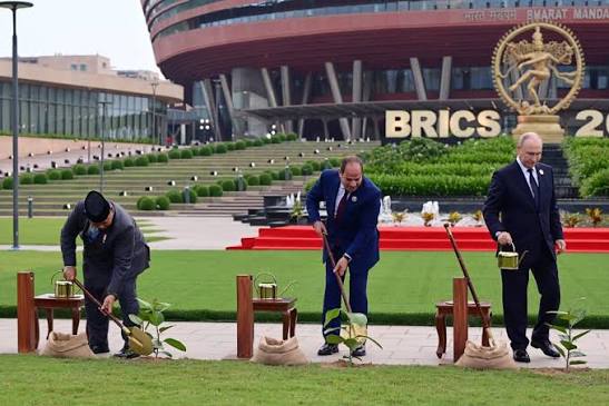 Diplomasi Lingkungan KTT BRICS 2026: Aksi Simbolis Presiden Prabowo Tanam Pohon Banyan di New Delhi